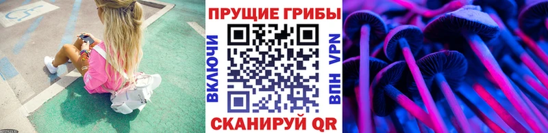Галлюциногенные грибы мицелий  Себеж 